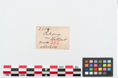 Etiketten zu Bronzebrillenfibel (NHMW-PRAE-024861)